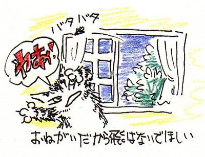 jy20001.jpg