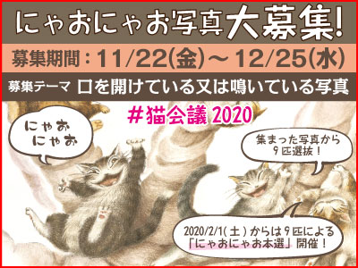 猫会議2020 にゃおにゃお写真大募集！ 募集期間：11月22日（金）から12月25日（水）まで