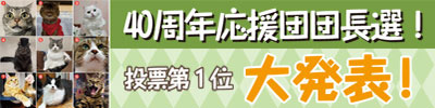 猫会議 投票第1位大発表！