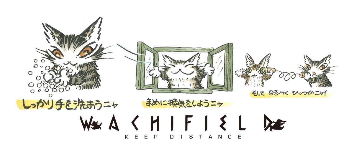 Wachifield わちふぃーるどオフィシャル ウェブサイト