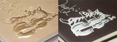 nice-foil.jpg
