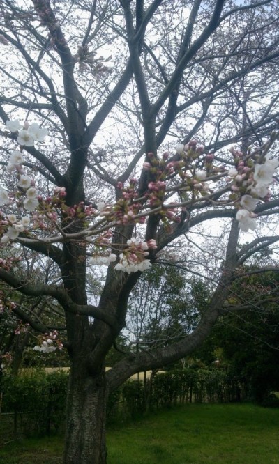 2012-04-07_135736.jpg
