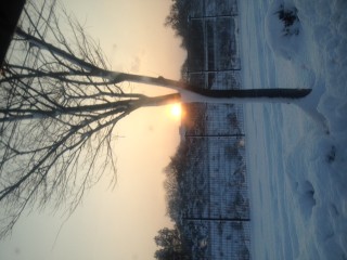 d41d8cd98f00b204e9800998ecf8427e