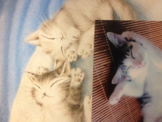 d41d8cd98f00b204e9800998ecf8427e