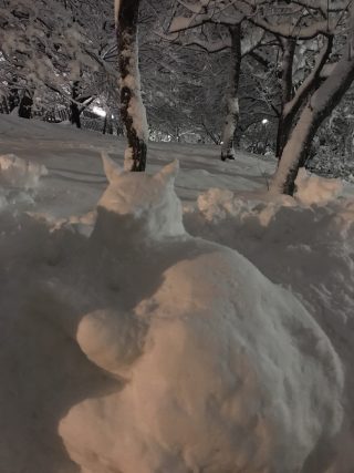 neko