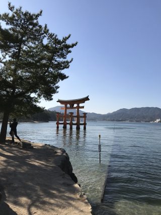 BB8C45E4-963B-4913-ABA3-8CFB9604F3A6