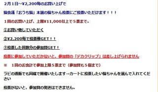 投票
