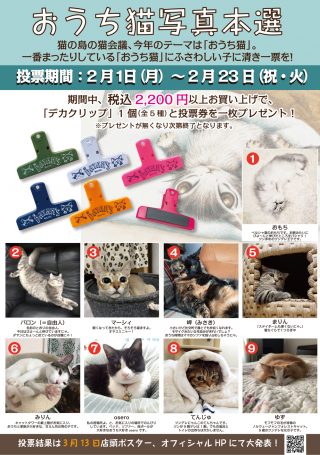 2021猫会議【本選】ポスター
