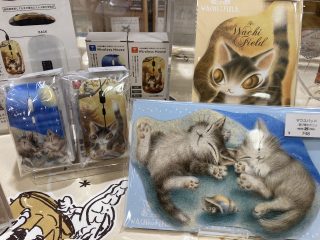 D325FC0F-62DB-49AE-9DF9-7E04F83D5F6D