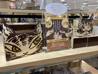 87B5ADBC-1467-4A95-A1C3-AE46586BFB19