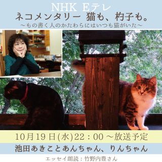 ネコメンタリー2