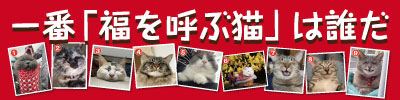 「福を呼ぶ猫」本選！！期間1月30日から2月23日まで