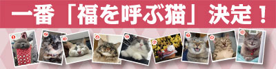 猫会議「福を呼ぶ猫」一番決定！