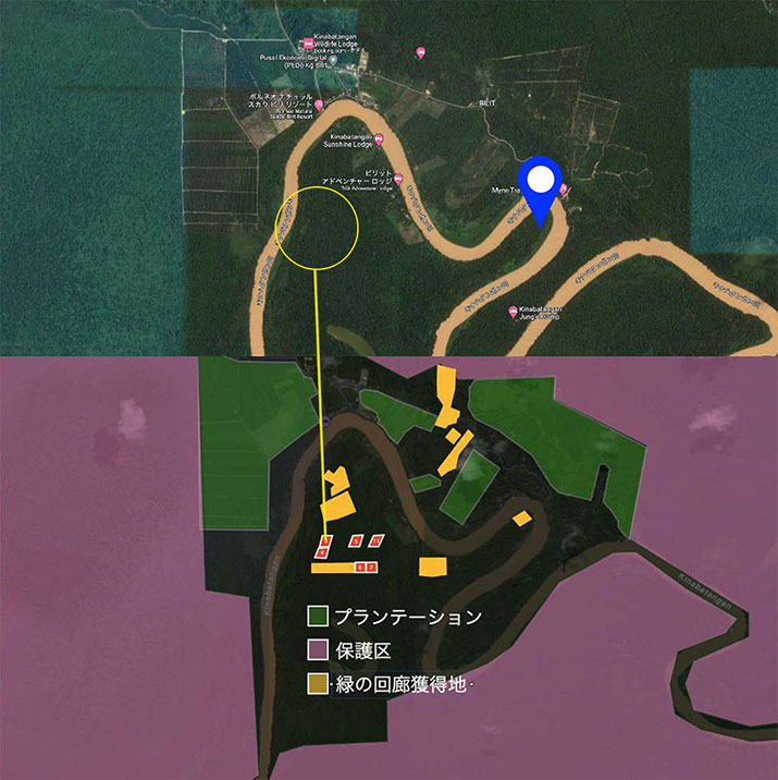 ダヤンの森Ⅳ