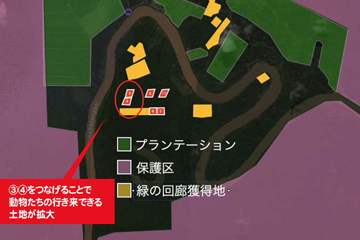 ダヤンの森Ⅴ