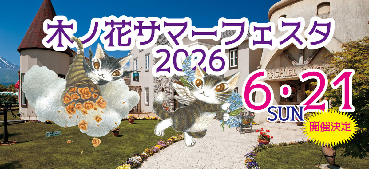 木ノ花サマーフェスタ2026、木ノ花美術館にて2026年6月21日（日）開催！ 現地イベント「池田あきこ先生サイン会＆アートパフォーマンス」にもご注目！