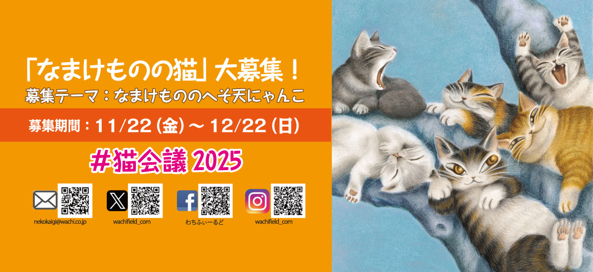 WachiField わちふぃーるどオフィシャル・ウェブサイト