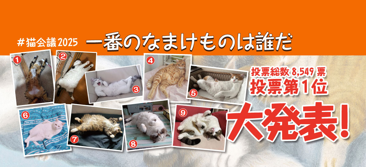 #猫会議2025「一番のなまけものは誰だ」1位大発表！