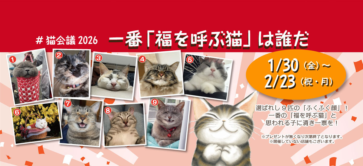 「福を呼ぶ猫」本選！！期間1月30日から2月23日まで