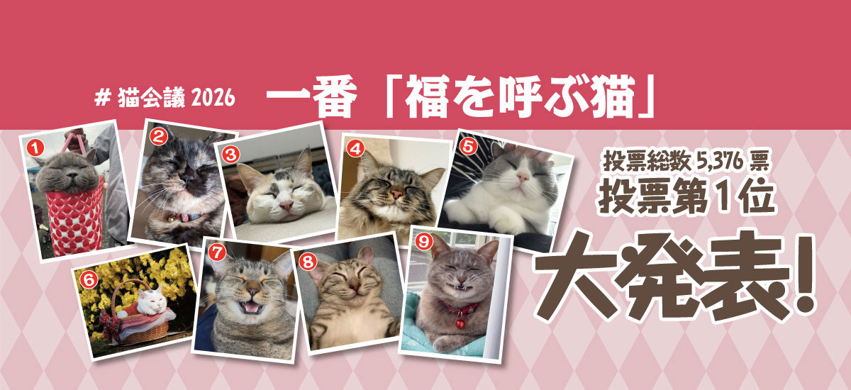 猫会議「福を呼ぶ猫」一番決定！