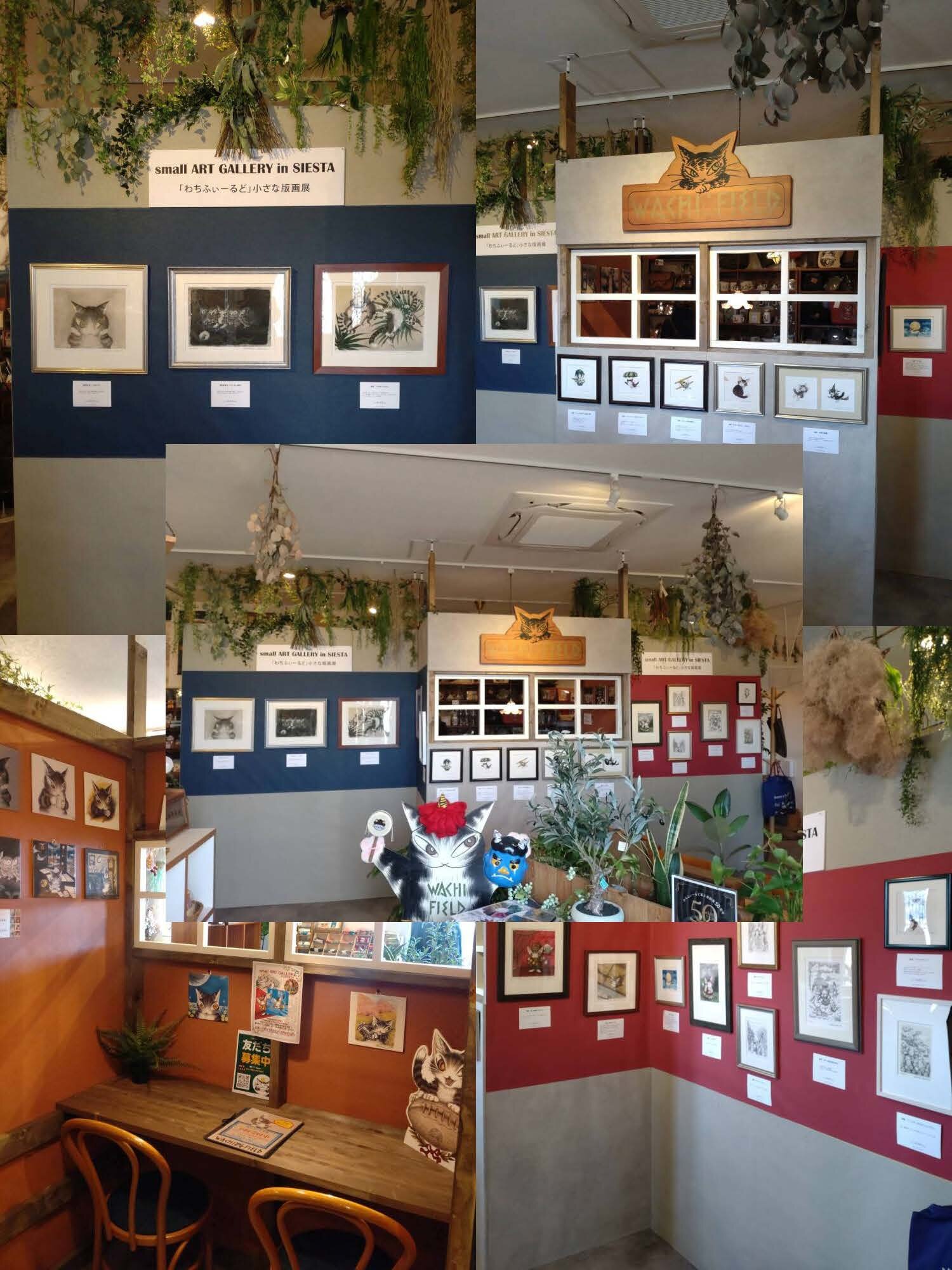 ★small ART GALLRY in SIESTA★.jpg