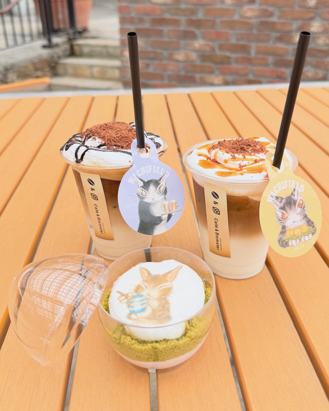 https://www.wachi.co.jp/w_news/ivent/96b43d9d4287a00b3f4f636c4b59c17009de99ce.jpg