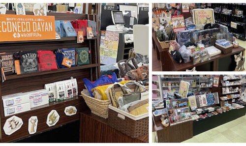 202511tsutaya fukuitakayanagi _1.jpg