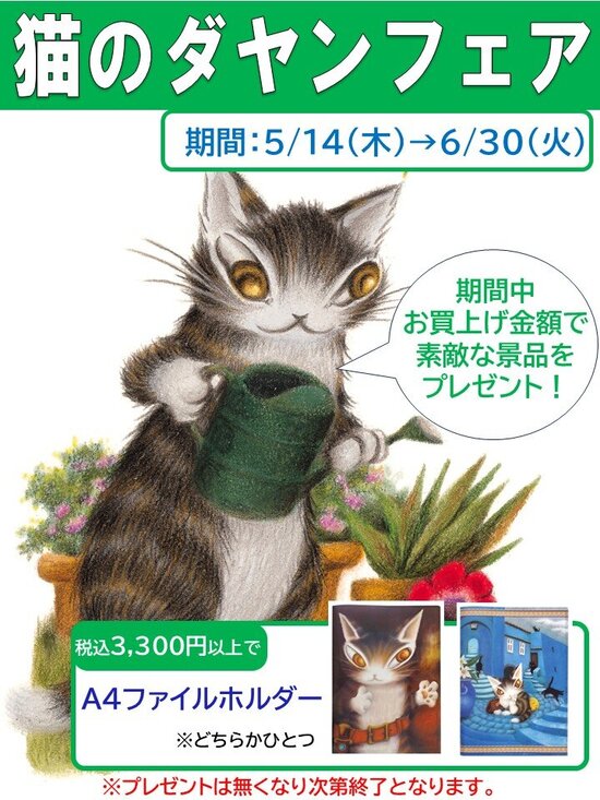 202605kinokuniyashoten kanazawadaiwa.jpg