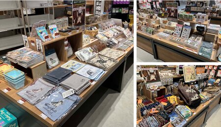 tsutaya bookstore aeonmall toki_1.jpg