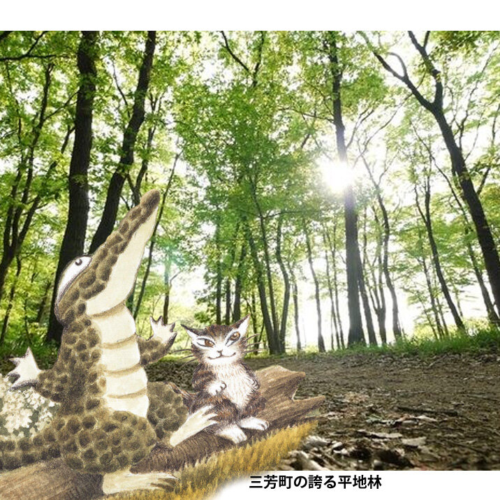 https://www.wachi.co.jp/w_news/wachi/20260615.jpg